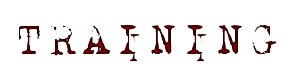 training_text.png