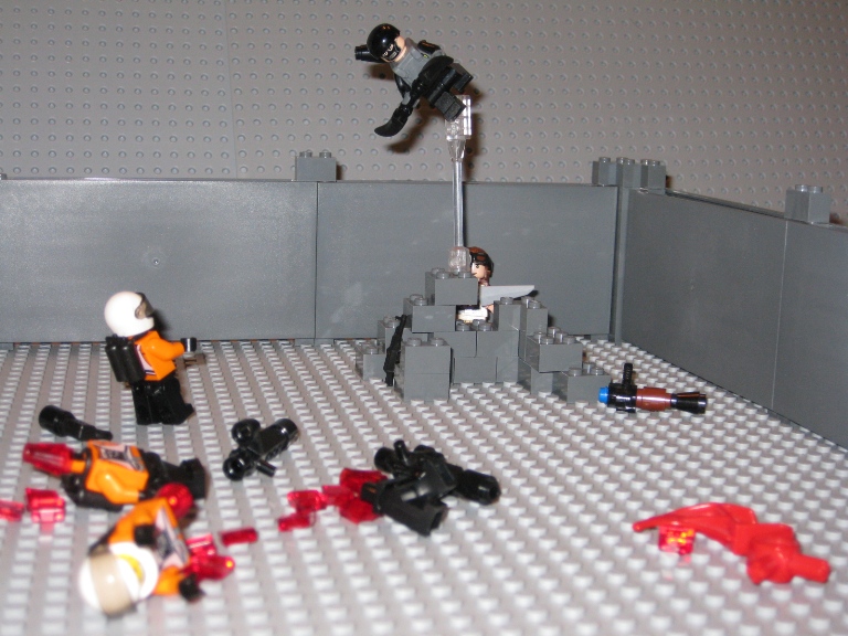 leap2.jpg