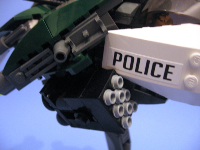 police_tiger_at_ship_10.jpg