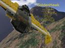 GoldenHawk