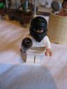 7195figure.jpg