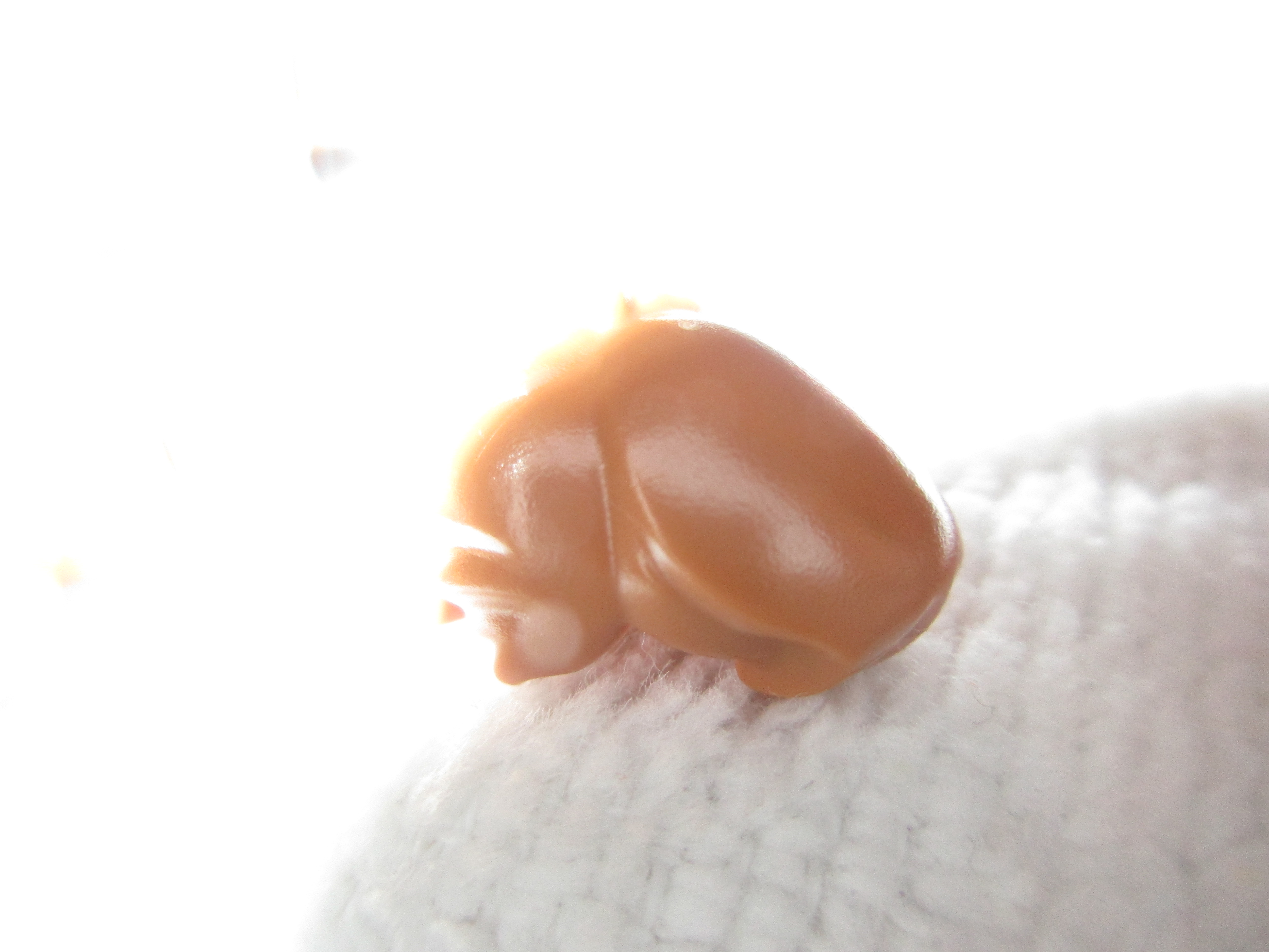 75900n.jpg