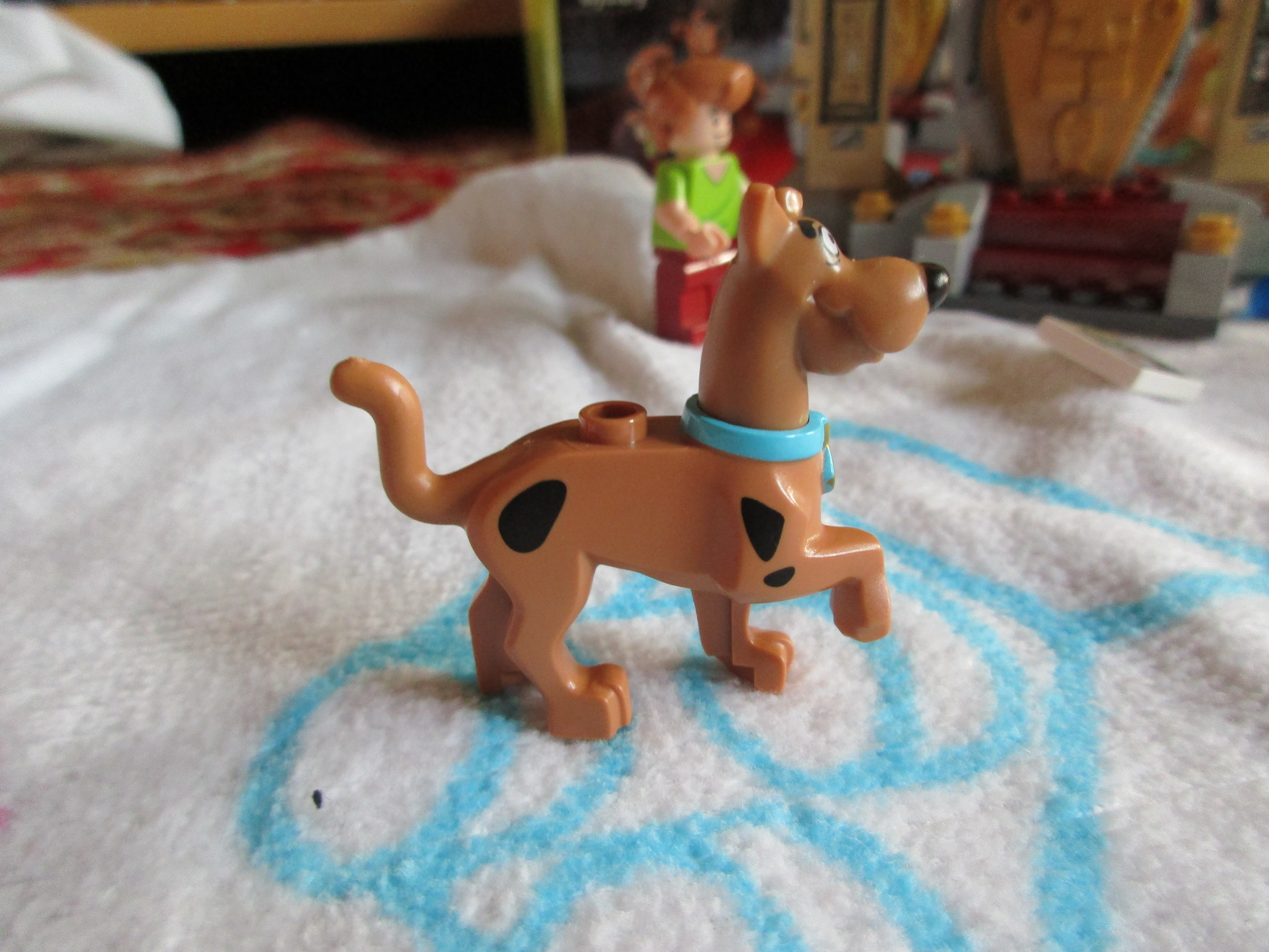 75900scoobydoo.jpg