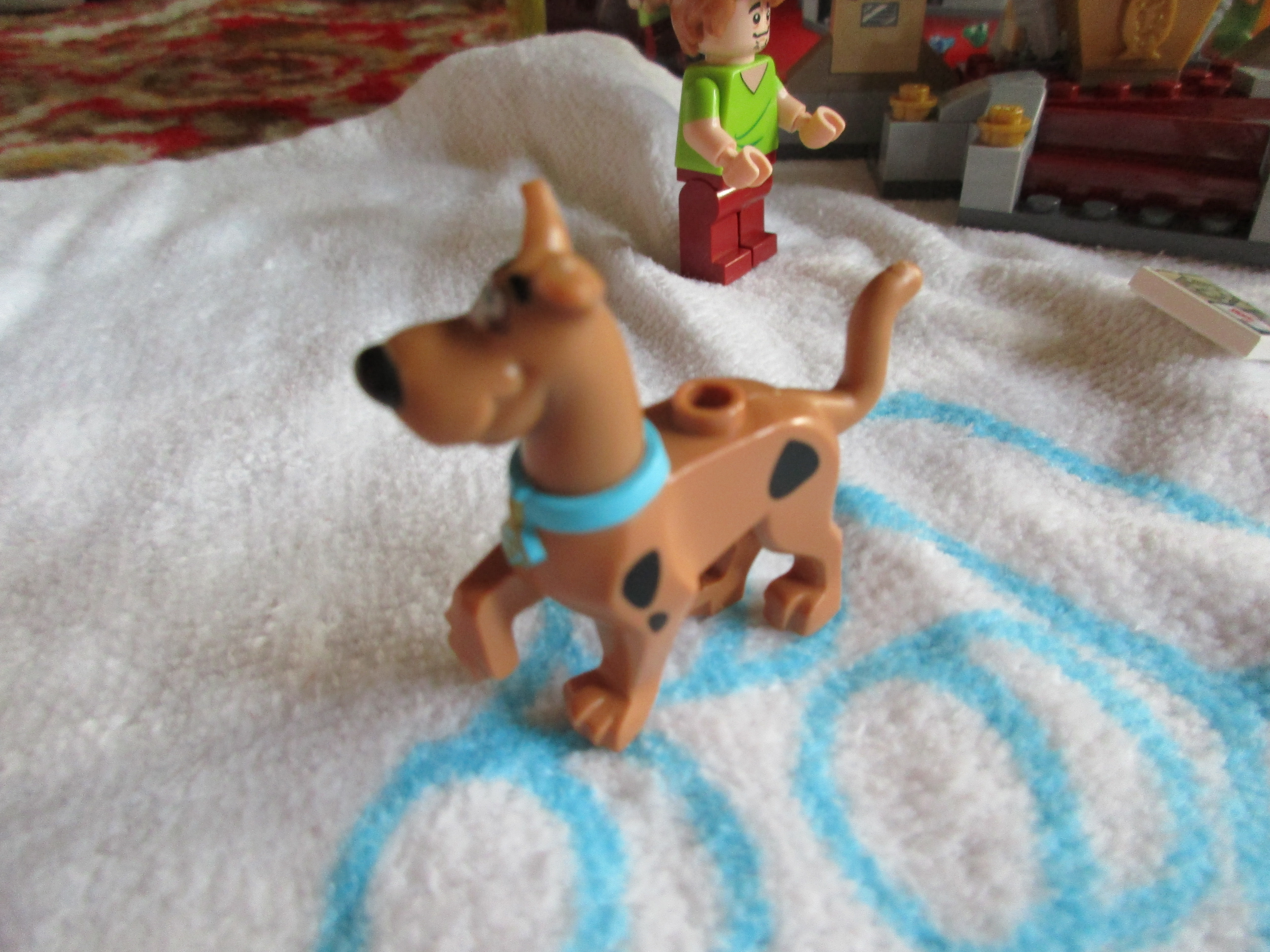 75900scoobydoo4.jpg