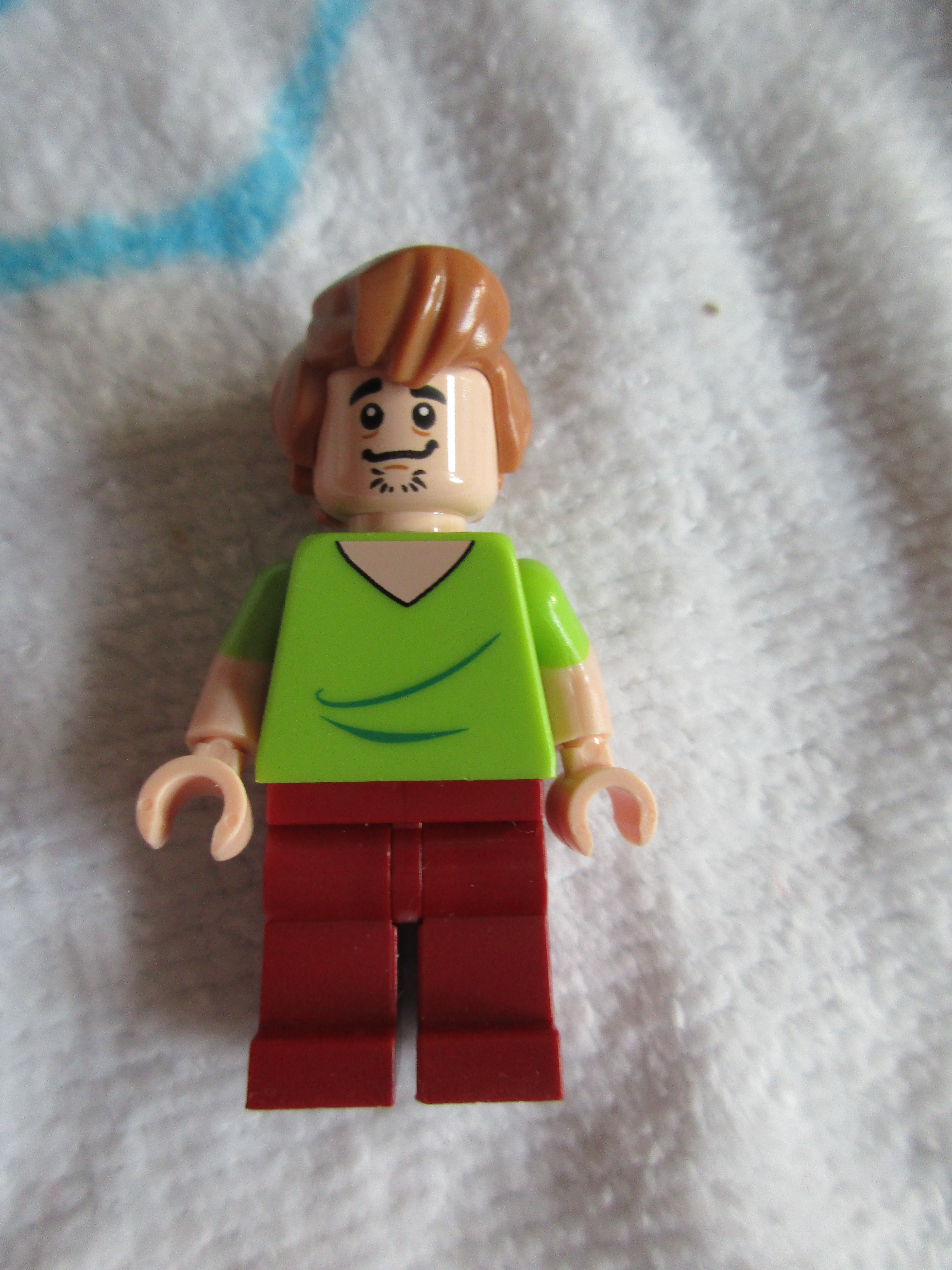 75900shaggy.jpg