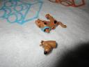 75900e.jpg