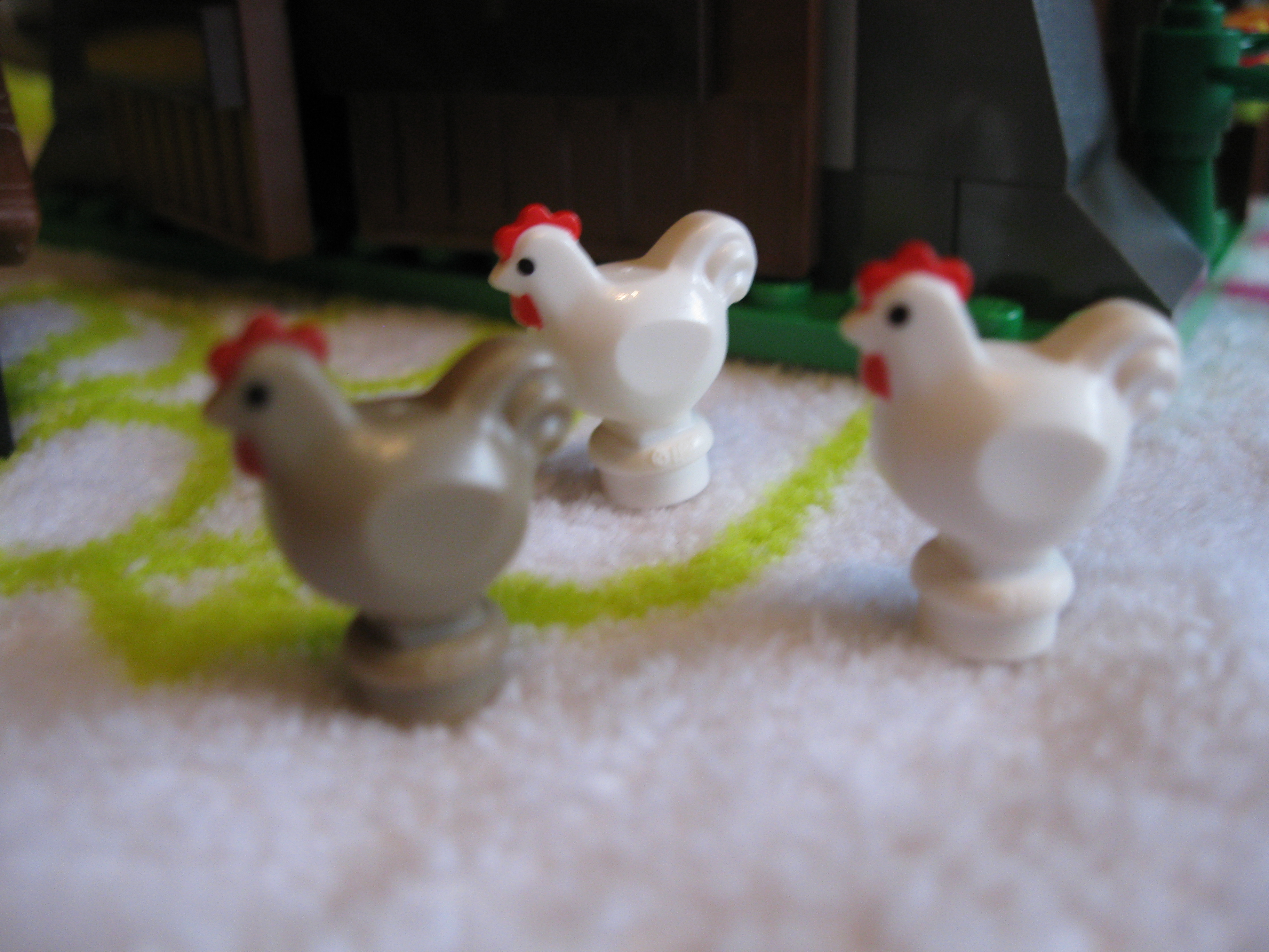 7189animalschickens.jpg