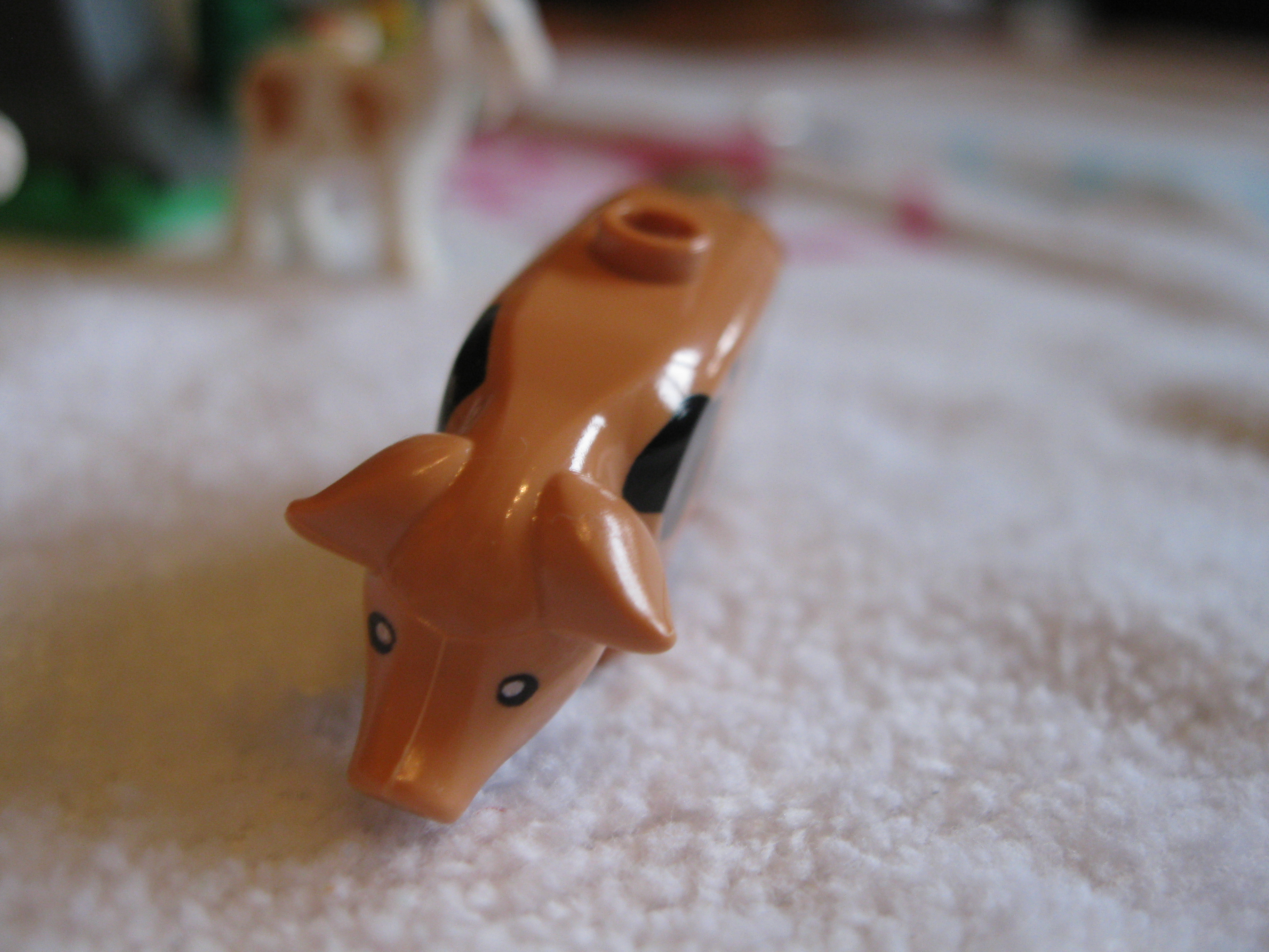 7189animalspig2.jpg