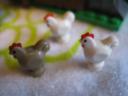 7189animalschickens3.jpg