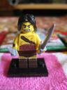 71002barbarian2.jpg