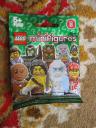 71002pretzelgirlpolybag.jpg