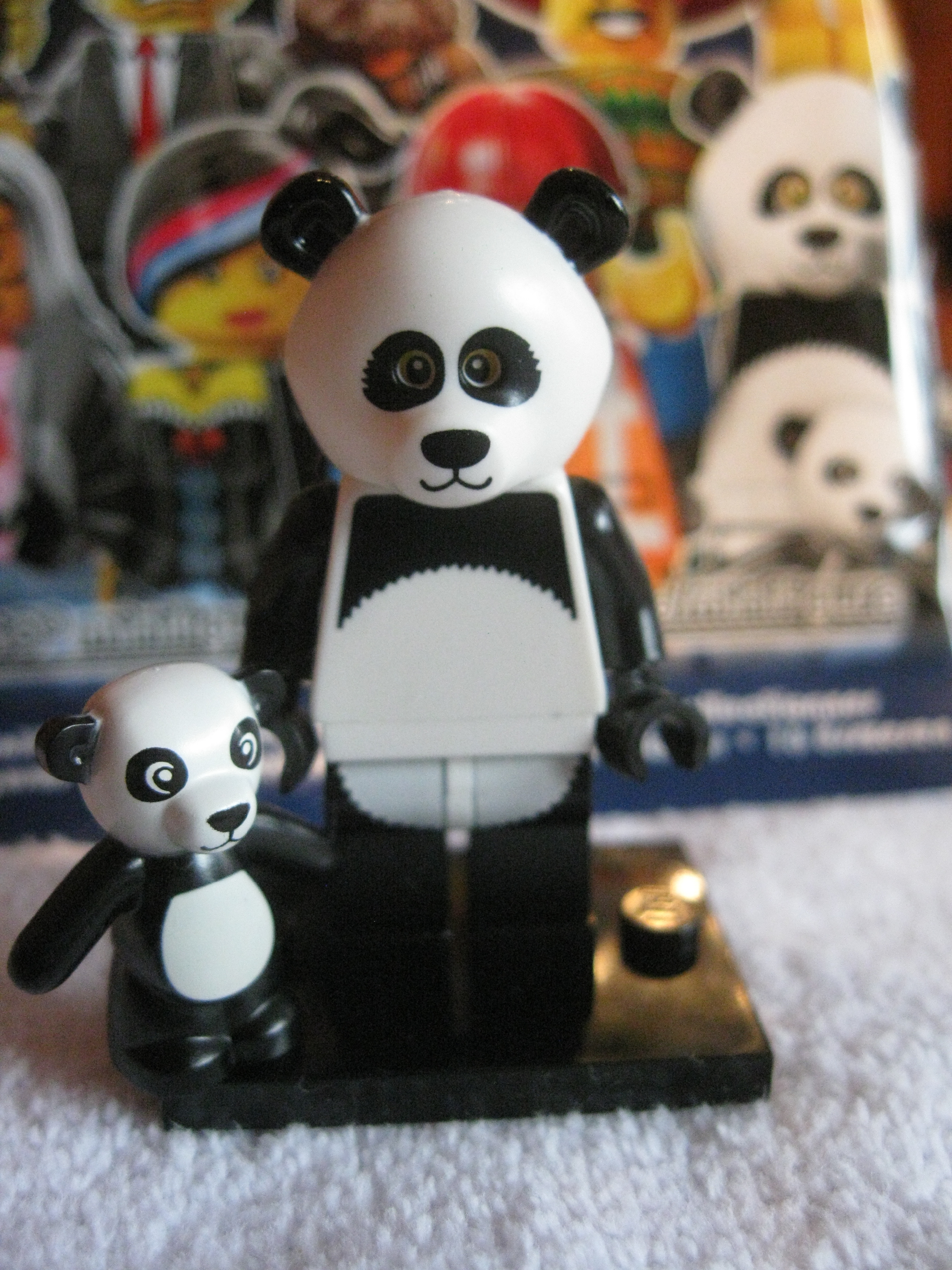 71004pandaguy2.jpg