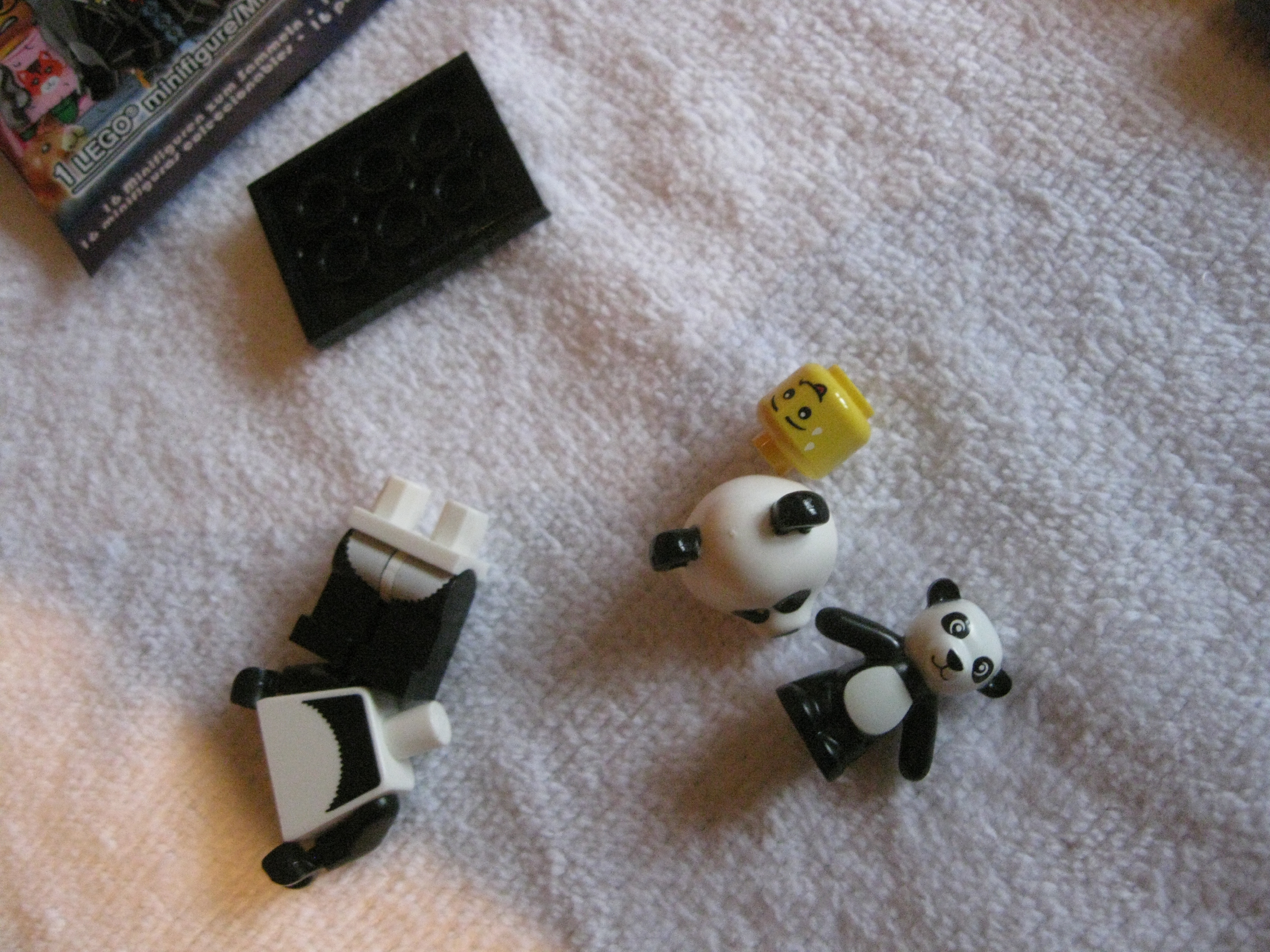 71004pandaguyb.jpg