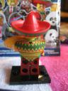 71004tacotuesdayguy4.jpg