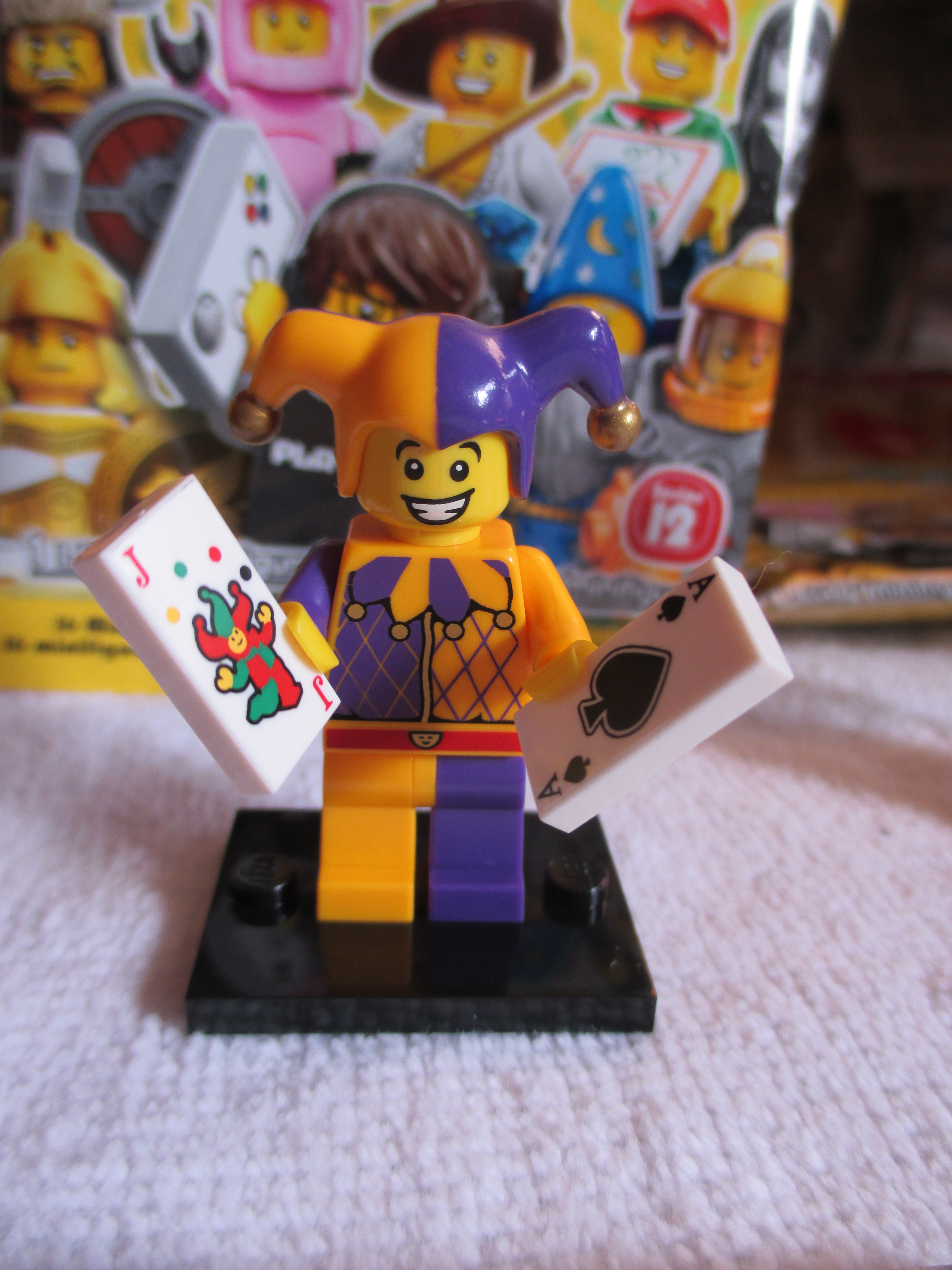 71007jester1.jpg