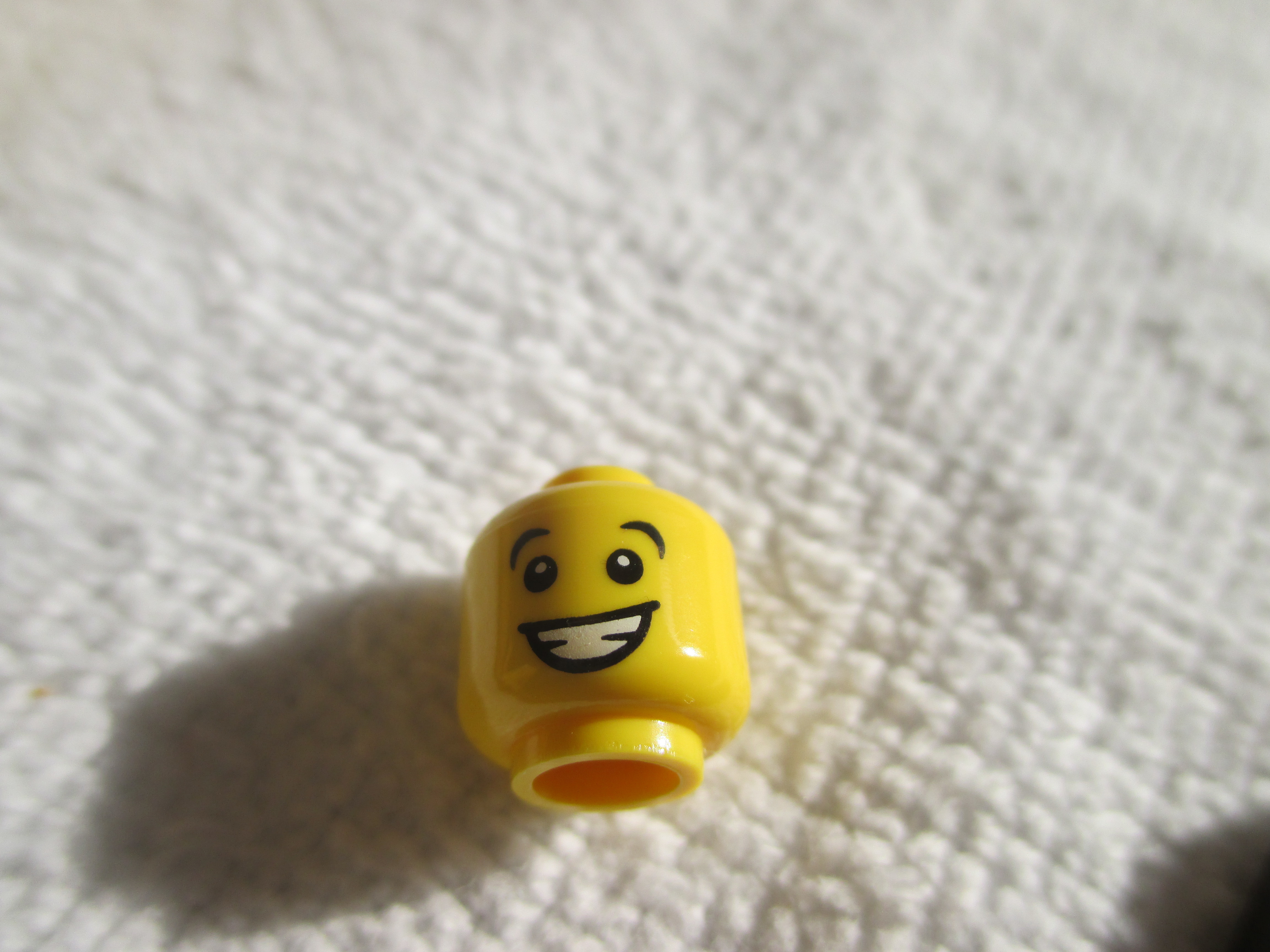 71007jesterf.jpg