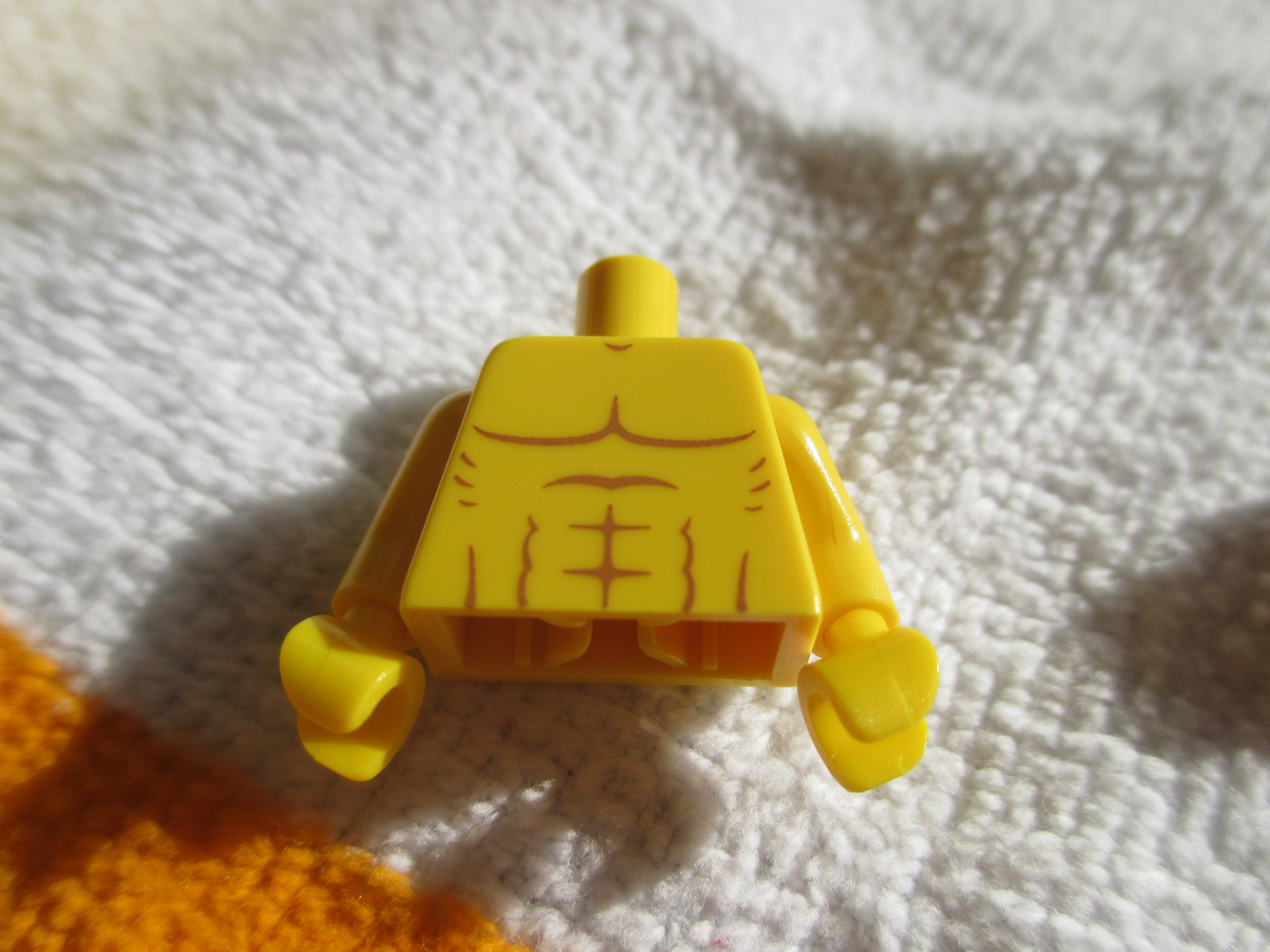 71007lifeguarde.jpg