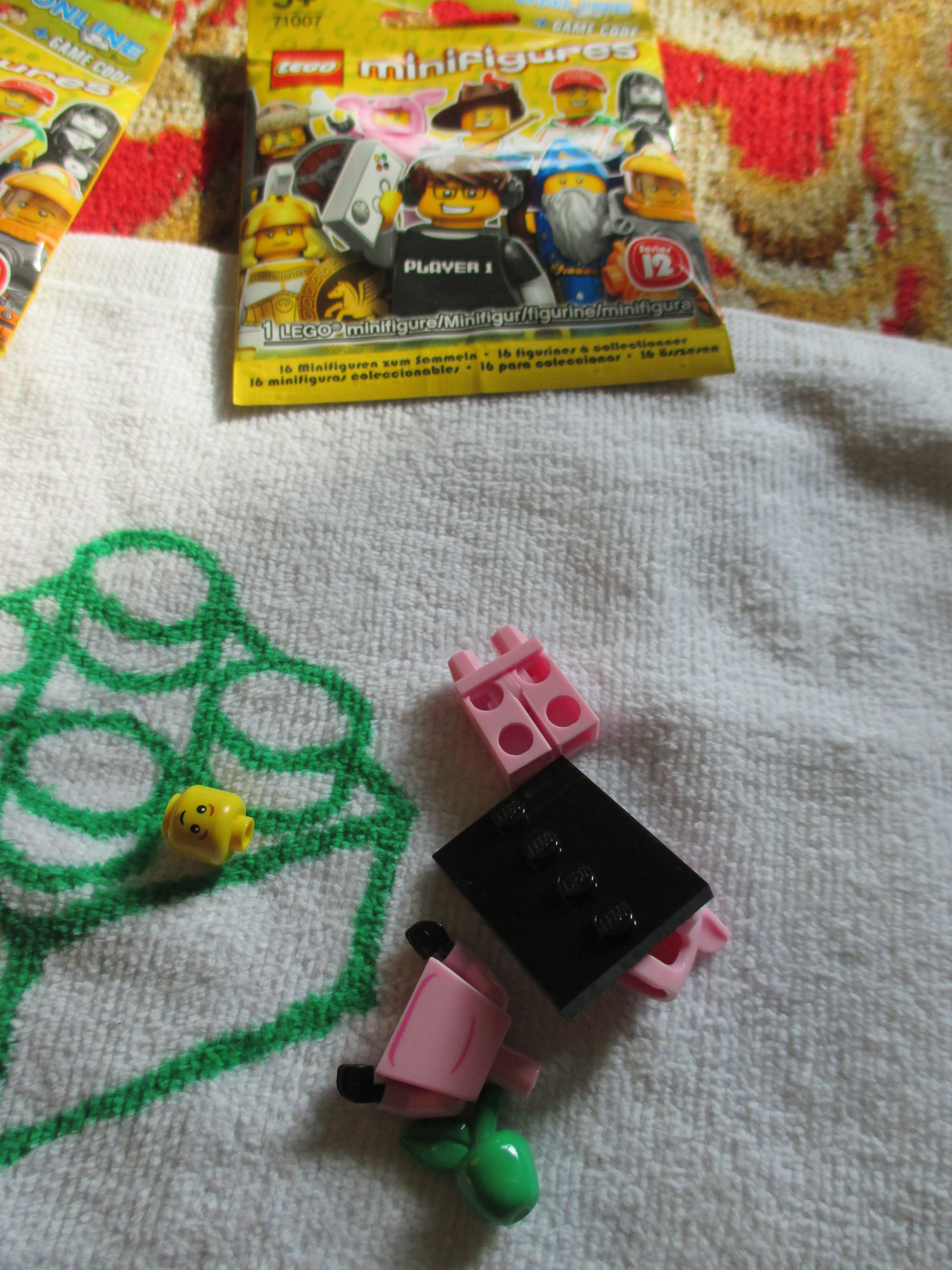 71007piggyguya.jpg