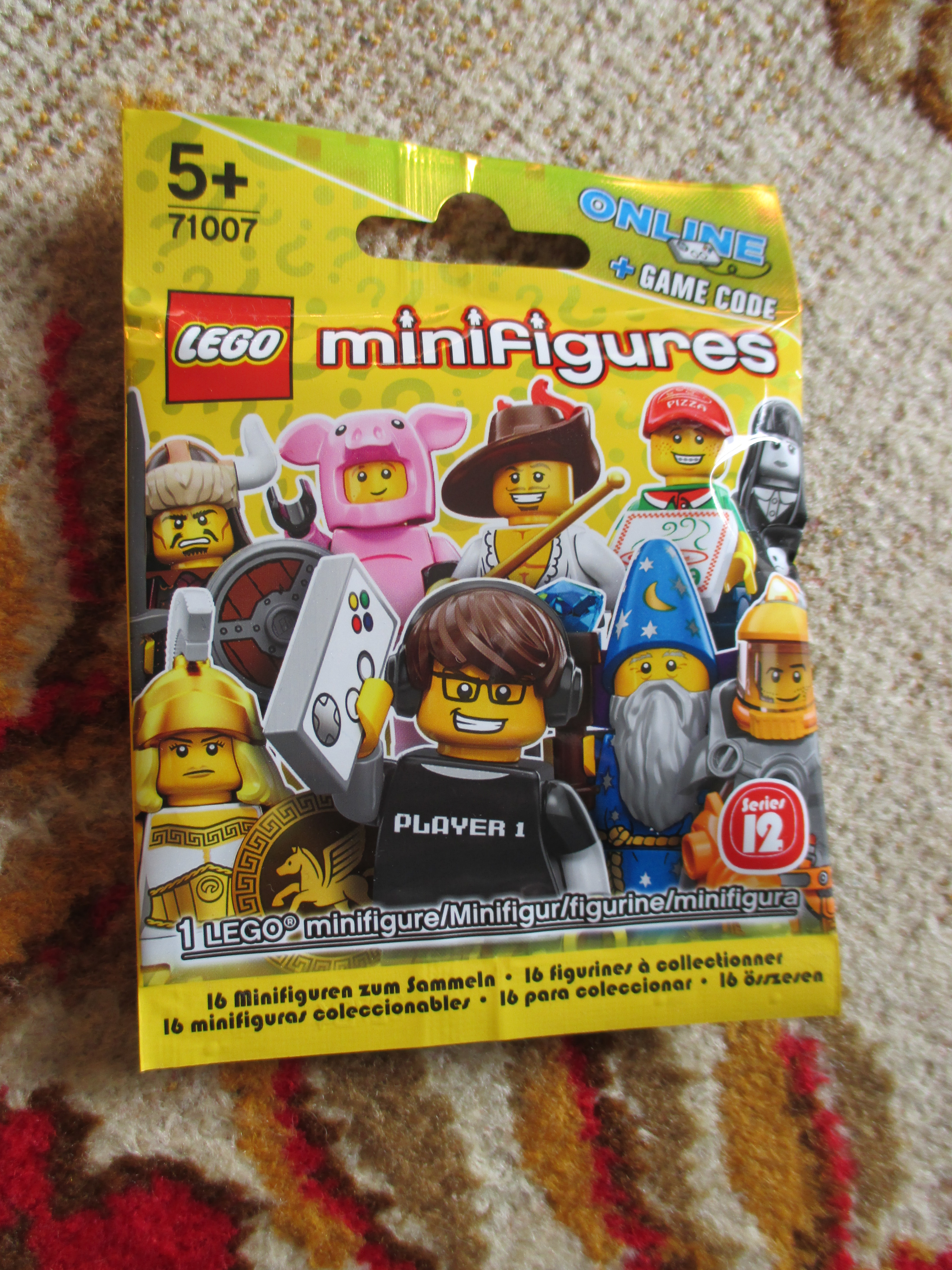 71007piggyguypolybag.jpg