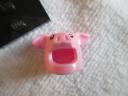 71007piggyguyf.jpg