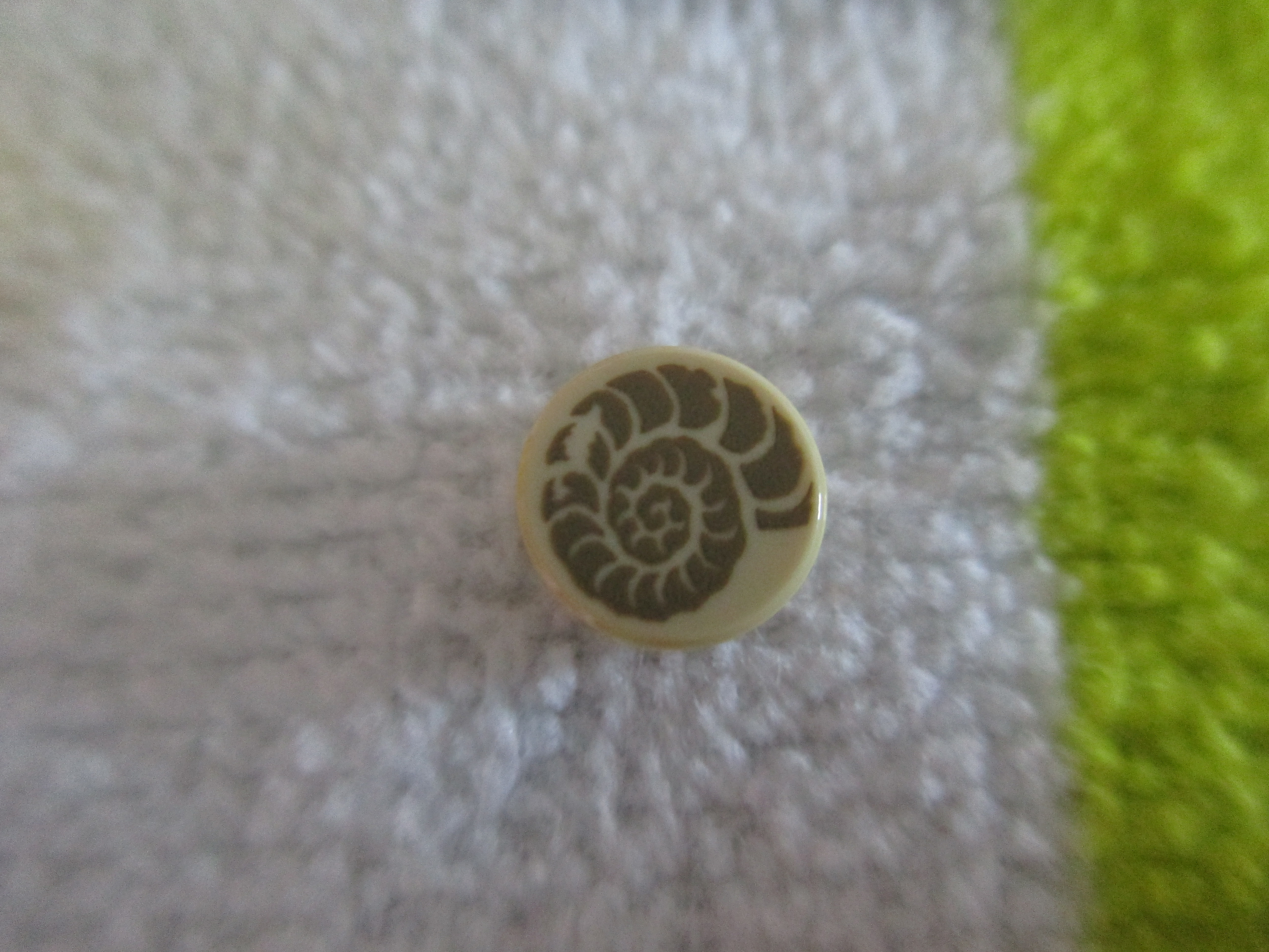 71008paleontologisth.jpg