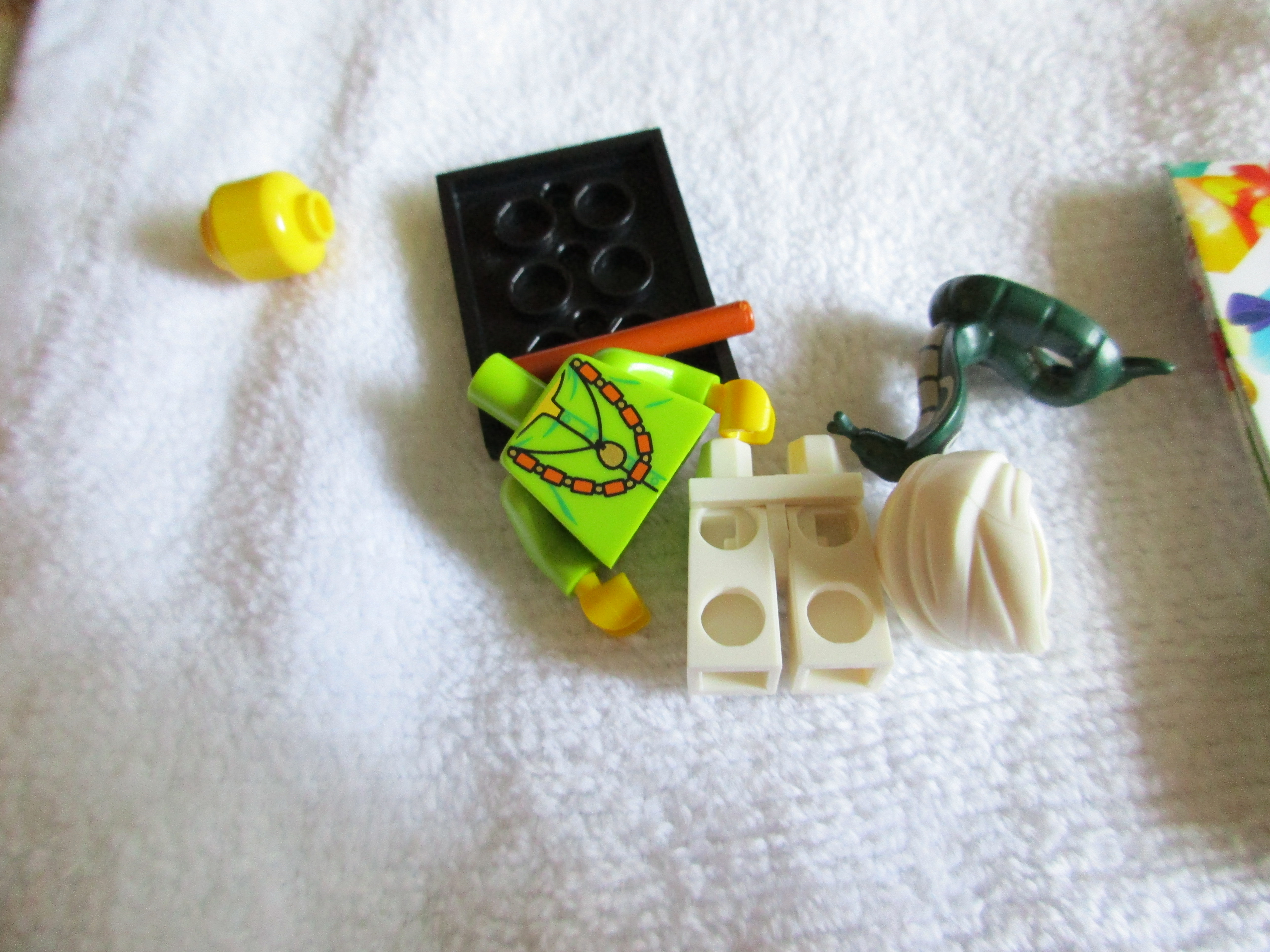 71008snakecharmerc.jpg