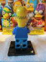 71009homer2.jpg