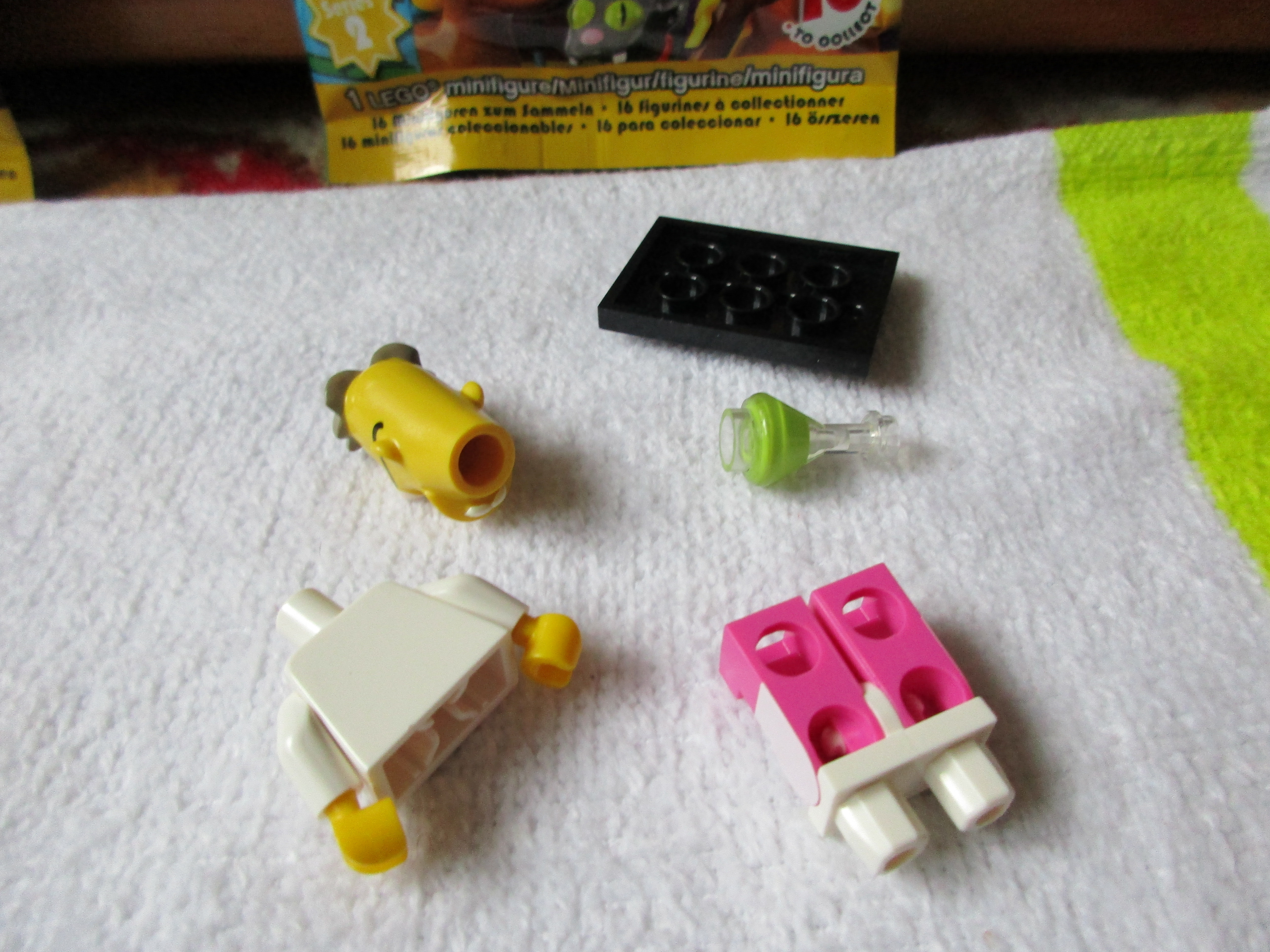 71009professorfrinkb.jpg