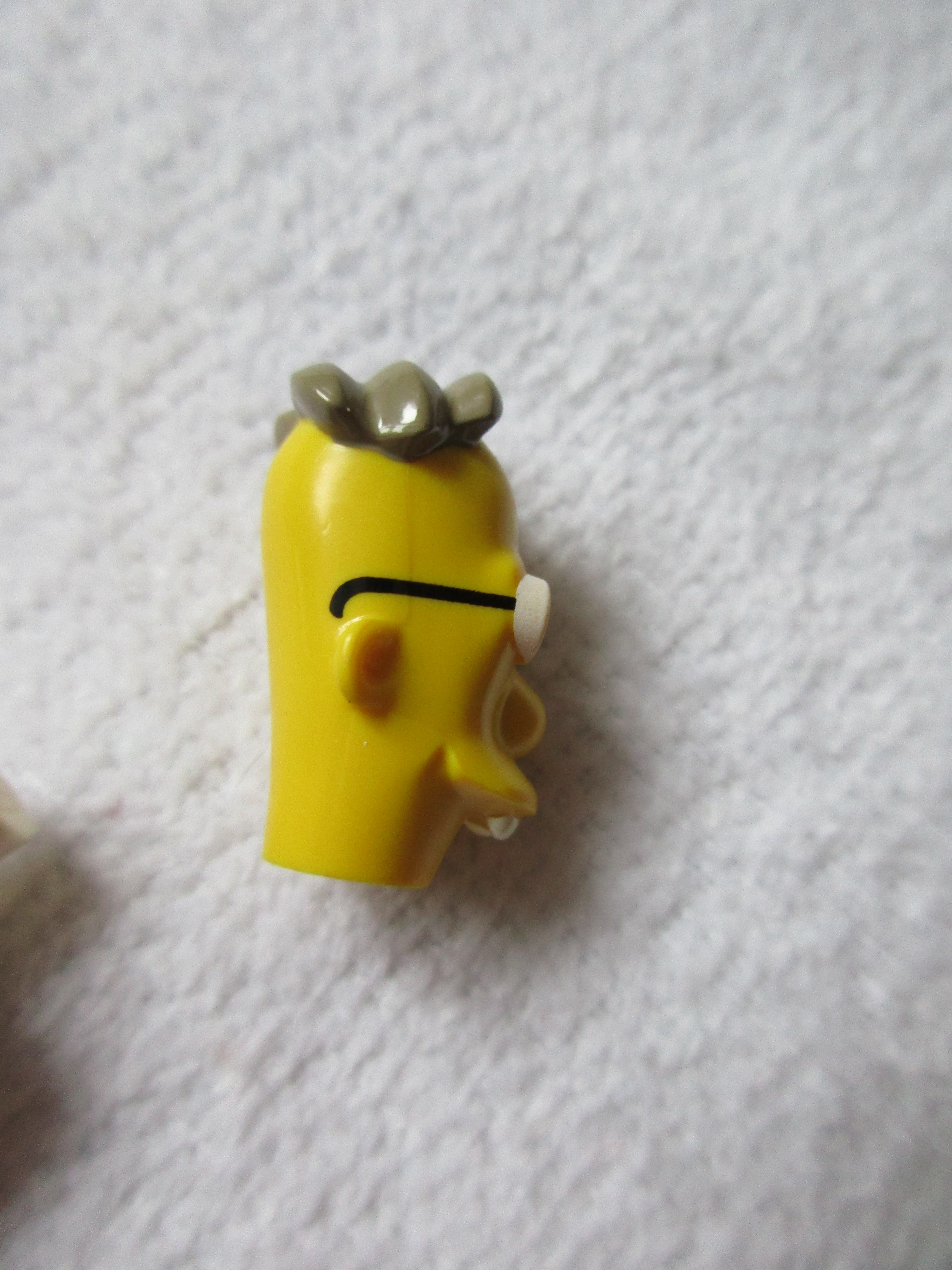 71009professorfrinke.jpg