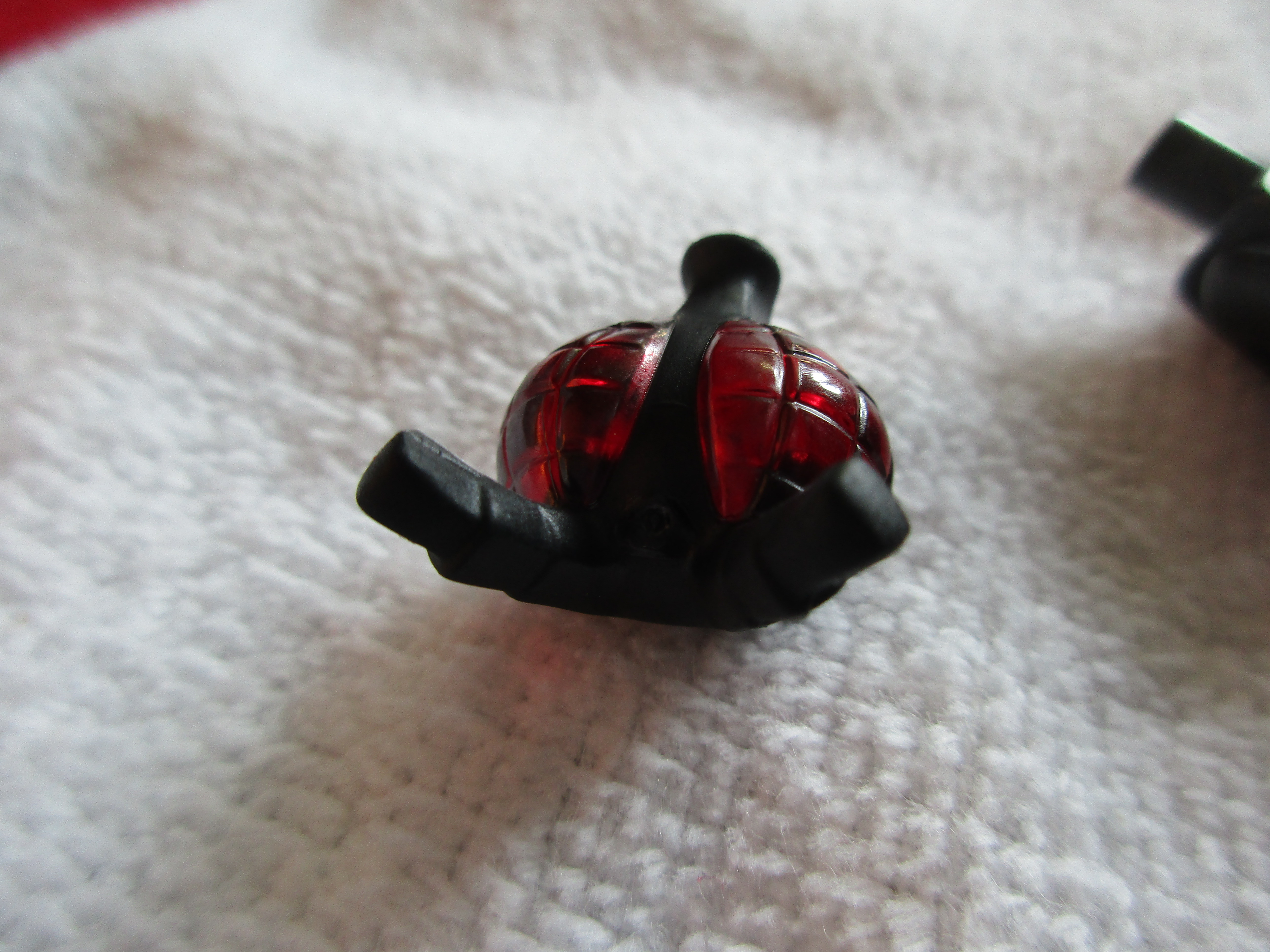71010flymonstere.jpg