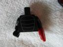 71010flymonsterb.jpg