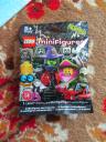 71010flymonsterpolybag.jpg