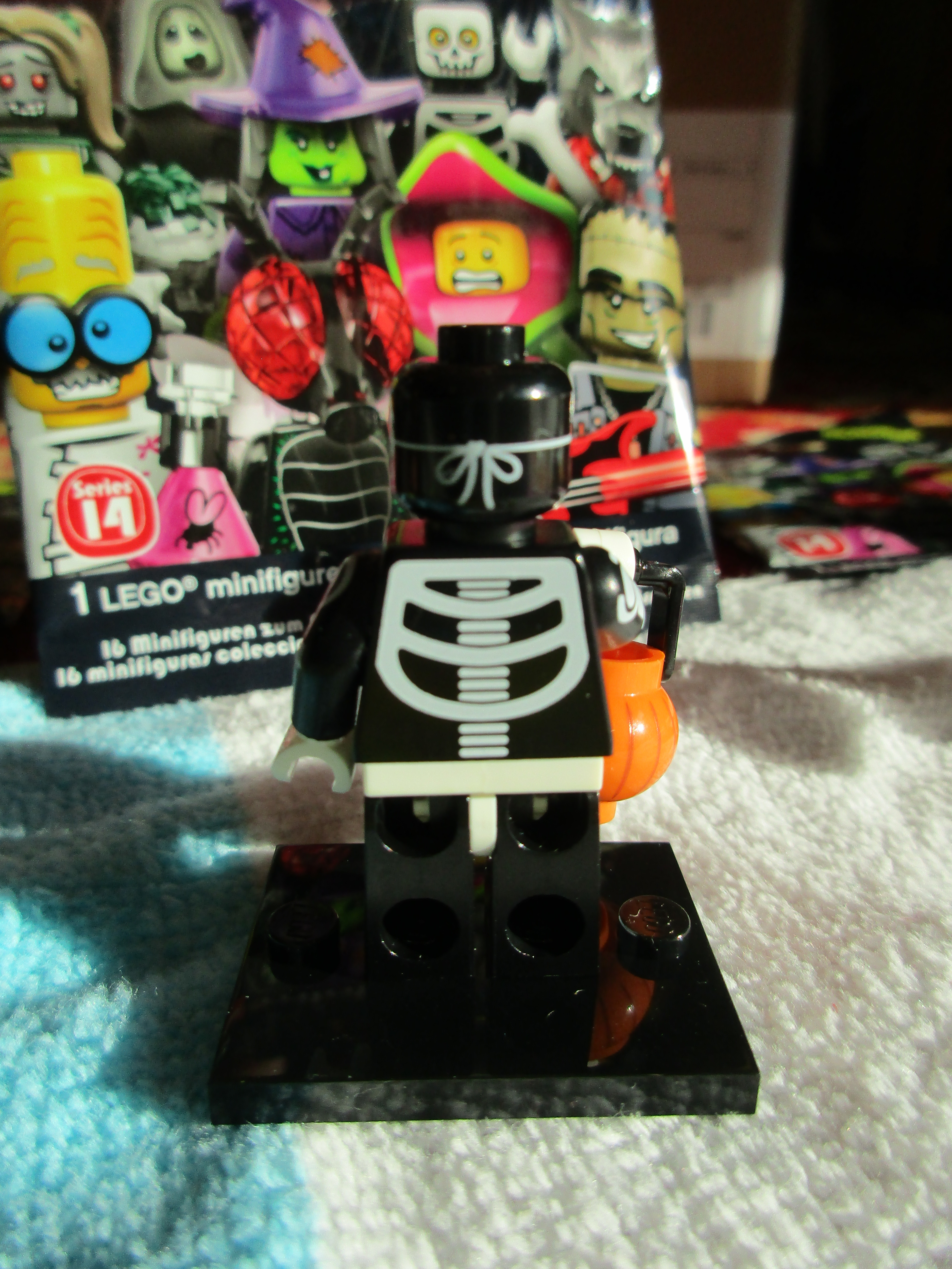 71010skeletonguy2.jpg