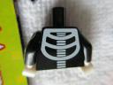 71010skeletonguye.jpg