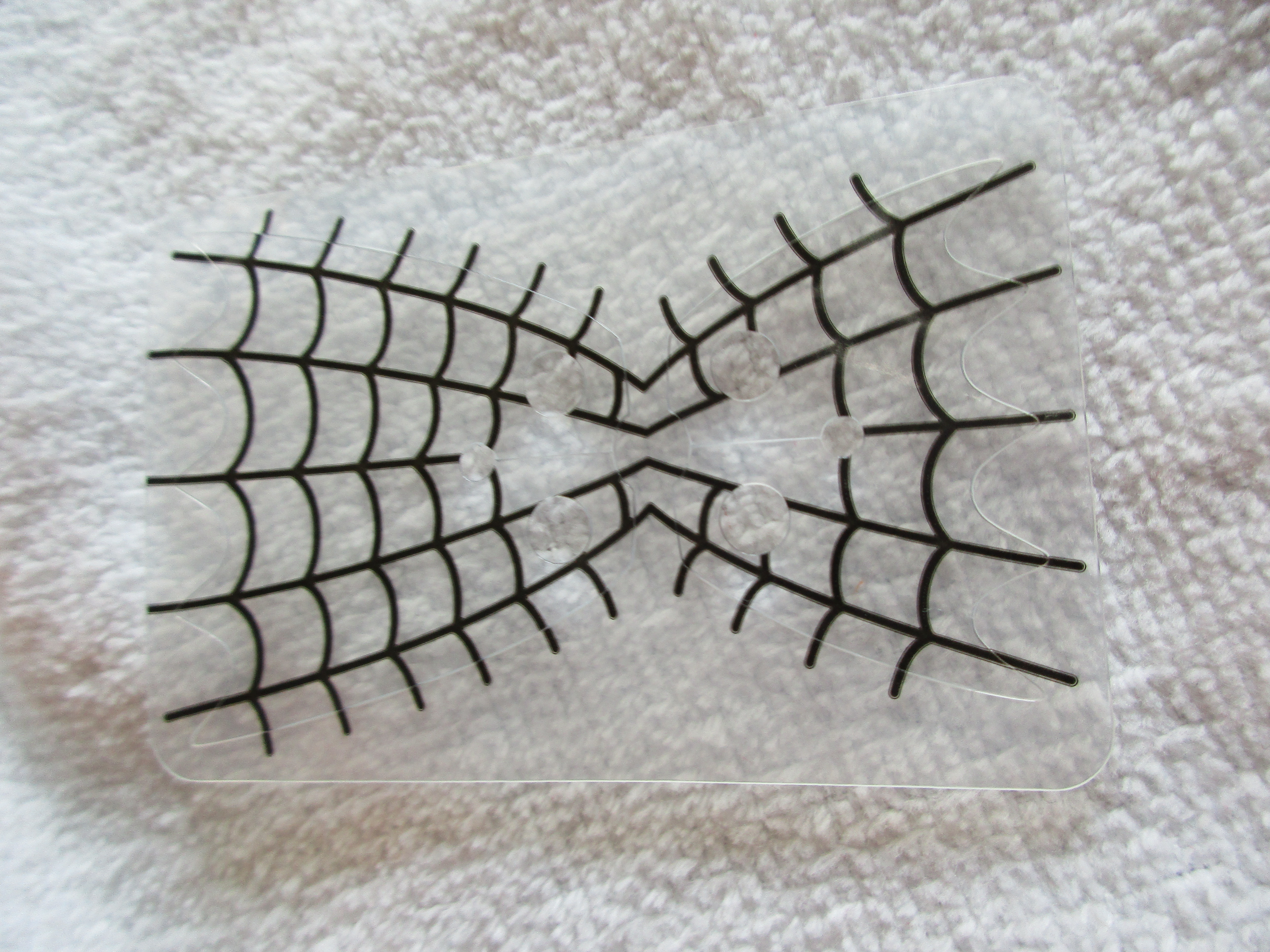 71010spiderladyb.jpg