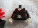 71010spiderladyc.jpg