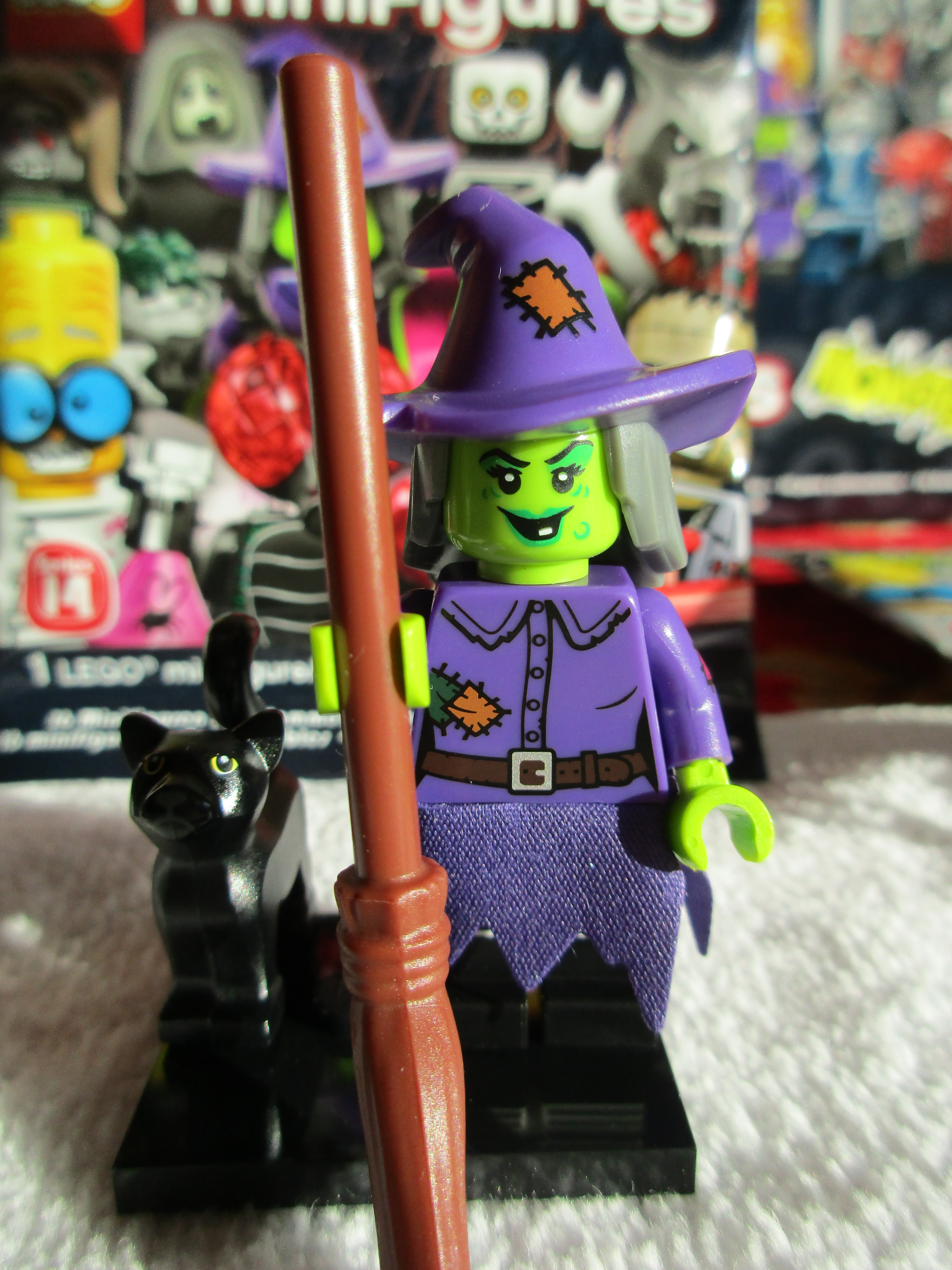 71010wackywitch1.jpg