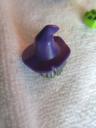 71010wackywitchg.jpg
