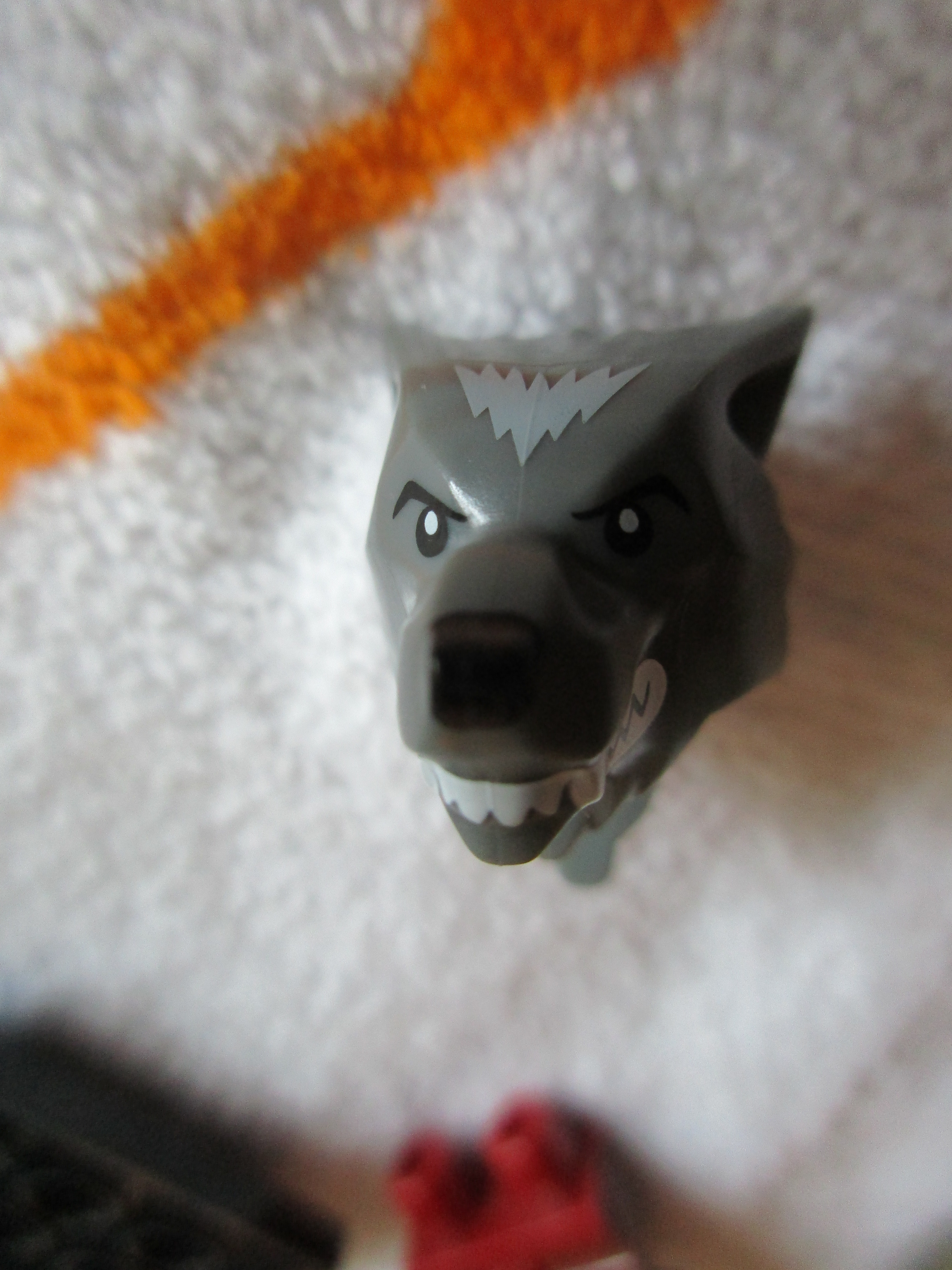 71010wolfguyf.jpg