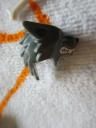 71010wolfguye.jpg