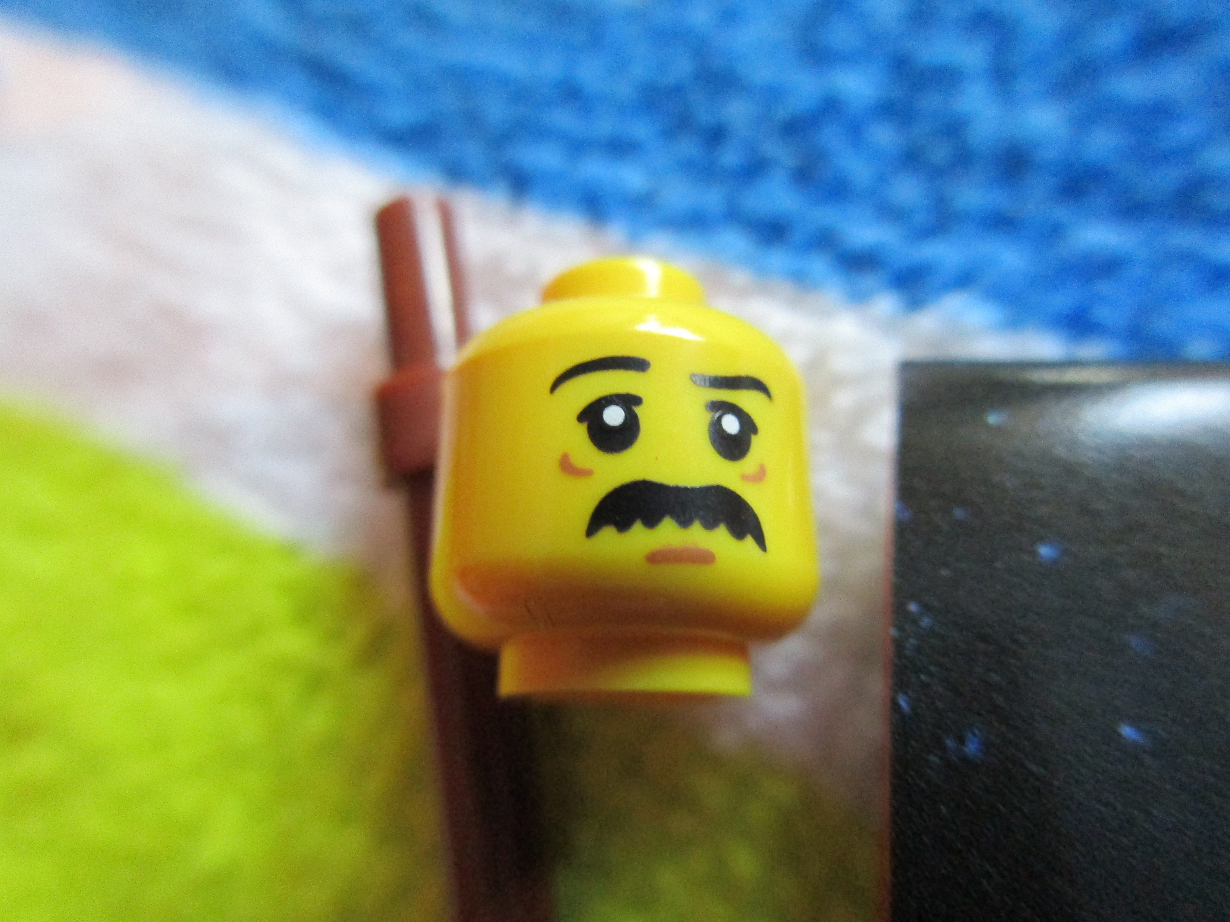 71011janitore.jpg