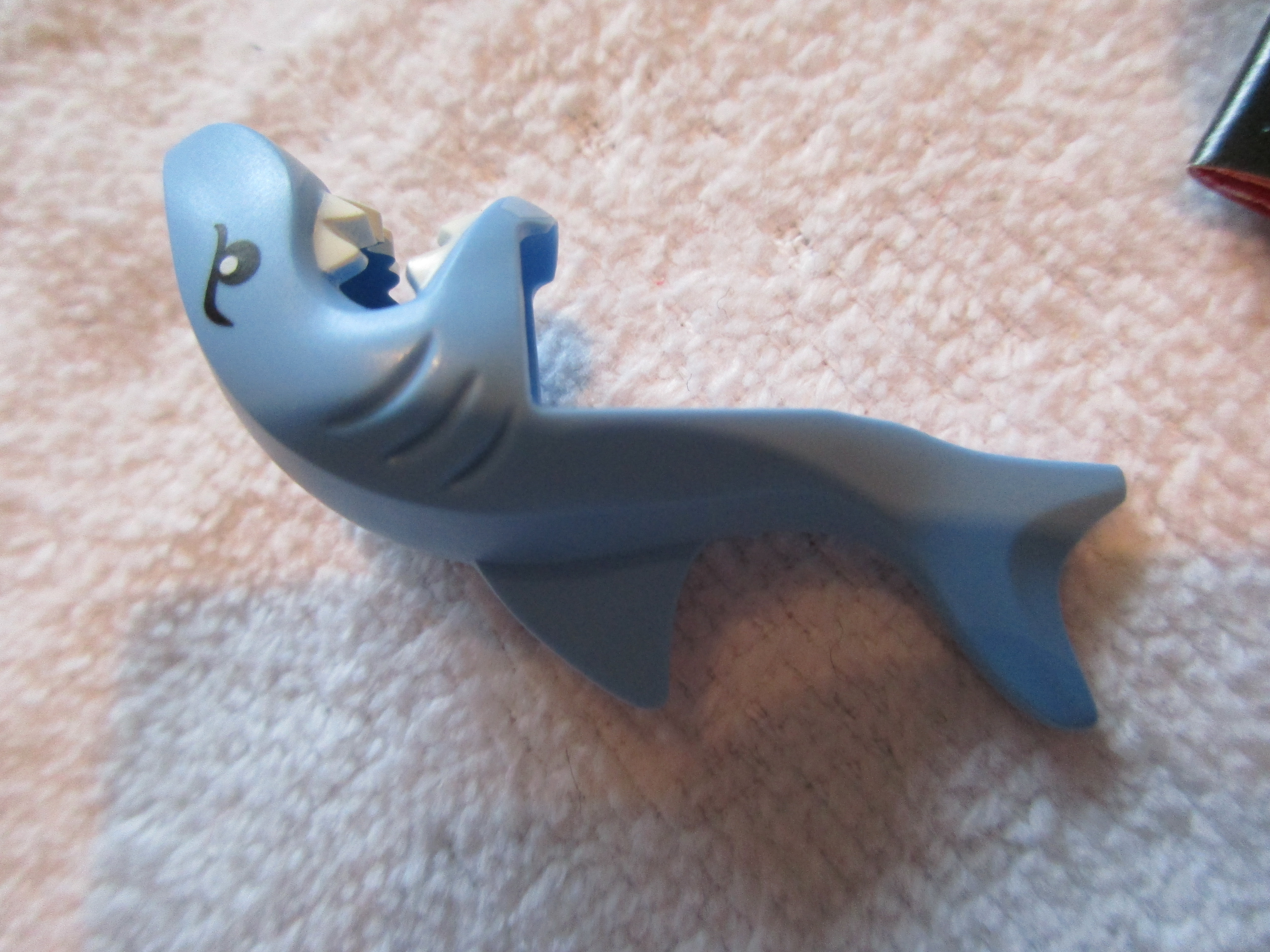 71011sharksuitguye.jpg