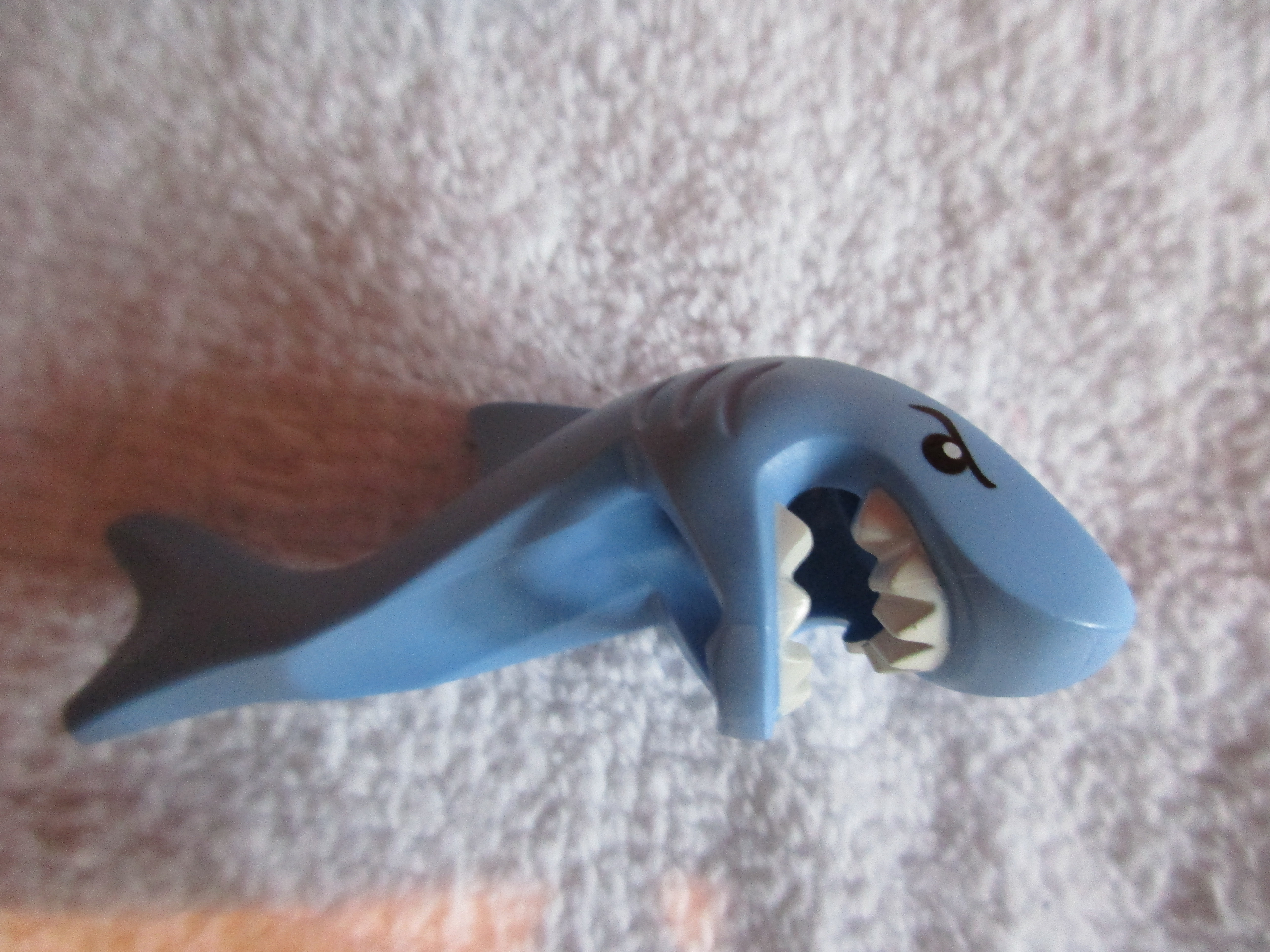 71011sharksuitguyf.jpg