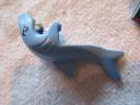 71011sharksuitguye.jpg