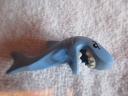 71011sharksuitguyf.jpg