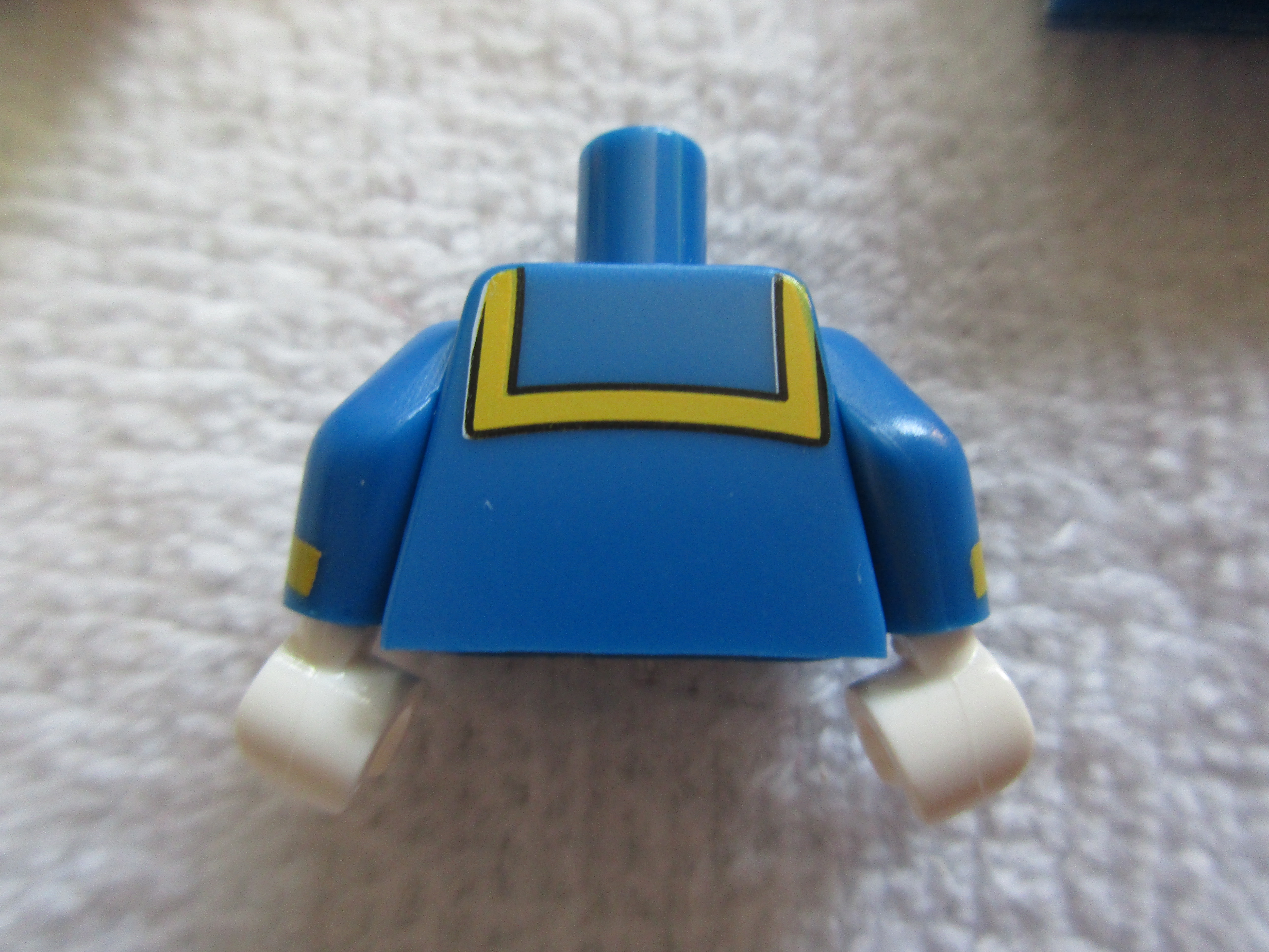 71012donaldduckd.jpg