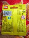 71013babysitterpolybag2.jpg