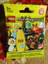 71013roguepolybag.jpg