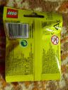 71013roguepolybag2.jpg