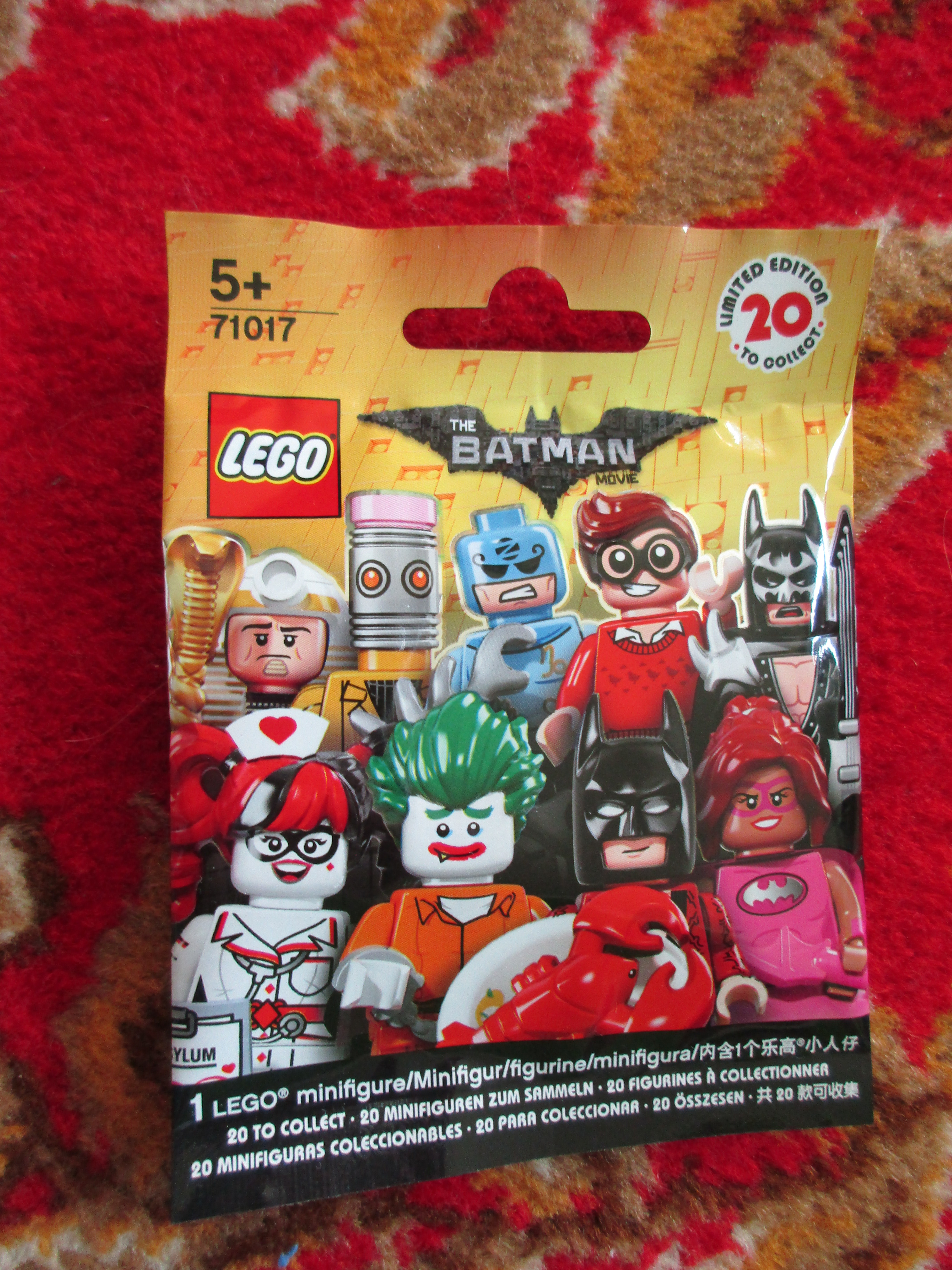 71017redhoodpolybag.jpg